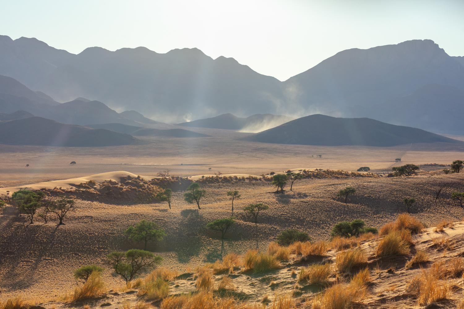 Namib Rand Reserve