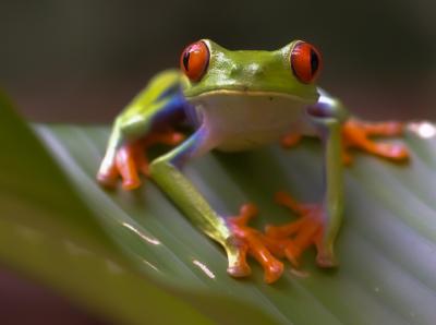 Costa Rica Photography tour 1