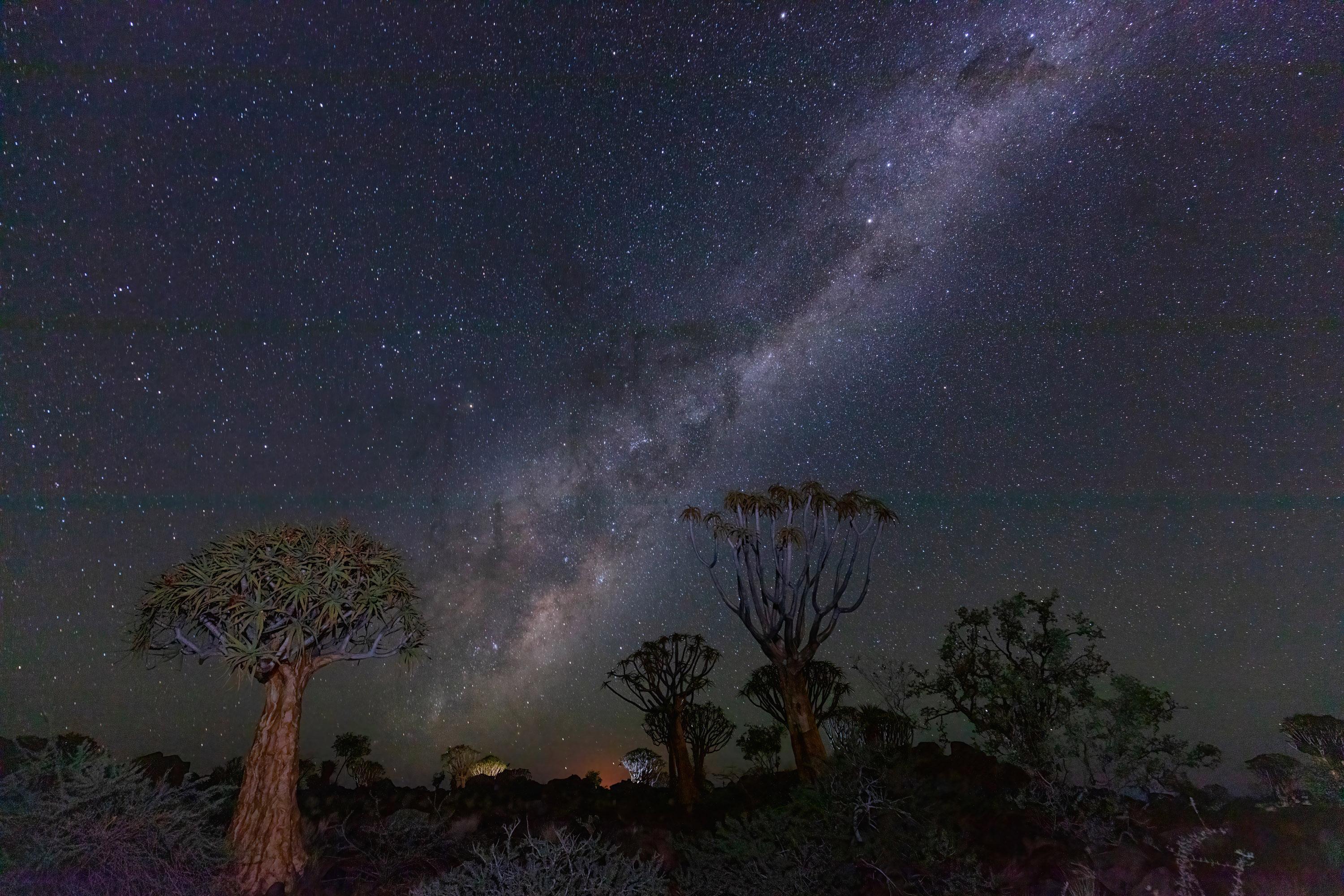 Milky Way, Quiver trees, Keetmanshoop, Namibia