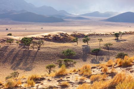 Wolwedans landscape, Namibia