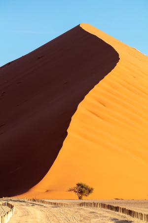 Sand dune 40, Sossusvlei, Namibia