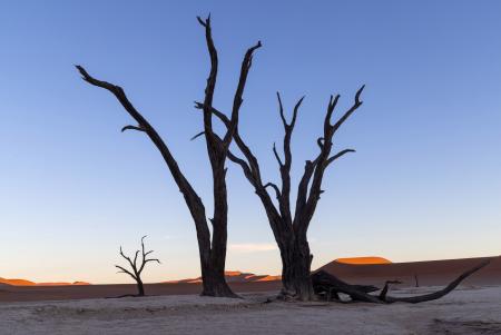 Deadvlei, Namibia