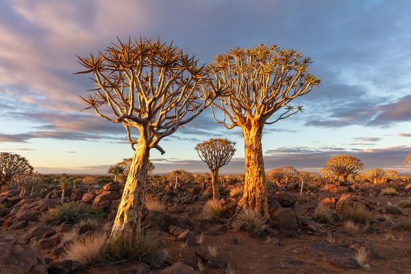 Namibia Photography Tour